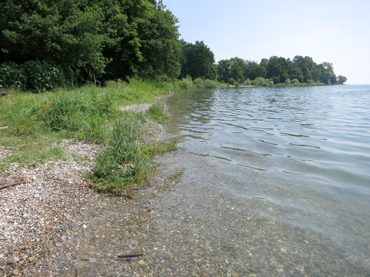 Bodensee fkk camping Campingzeit am